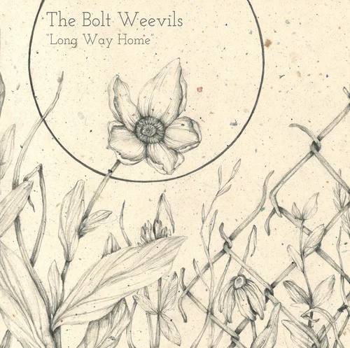 The Bolt Weevils - Long Way Home